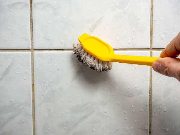 Best Mold Testing  in Sauk Rapids, MN