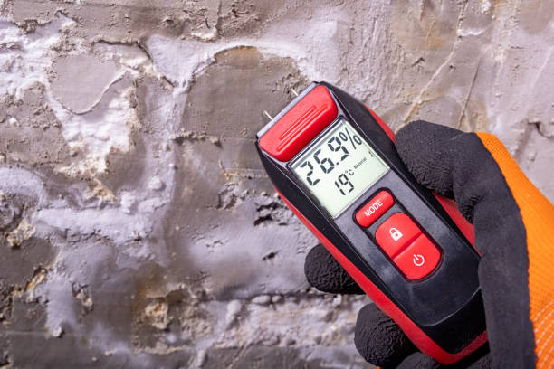 Best Toxic Mold Removal  in Sauk Rapids, MN