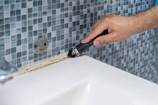 Professional Mold Removal in Sauk Rapids, MN