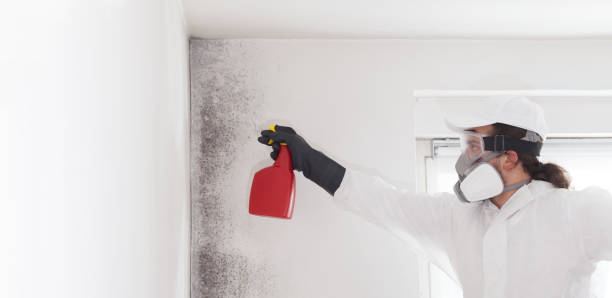 Best Mold Testing  in Sauk Rapids, MN